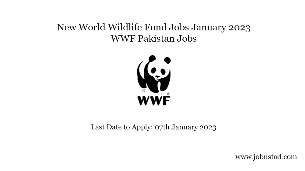 new-world-wildlife-fund-jobs-january-2023-wwf-pakistan-jobs