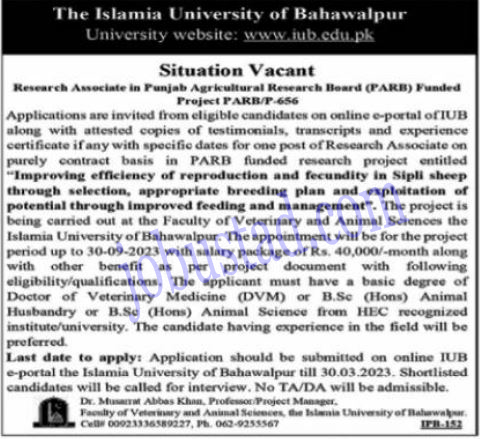 Islamia University of Bahawalpur Jobs