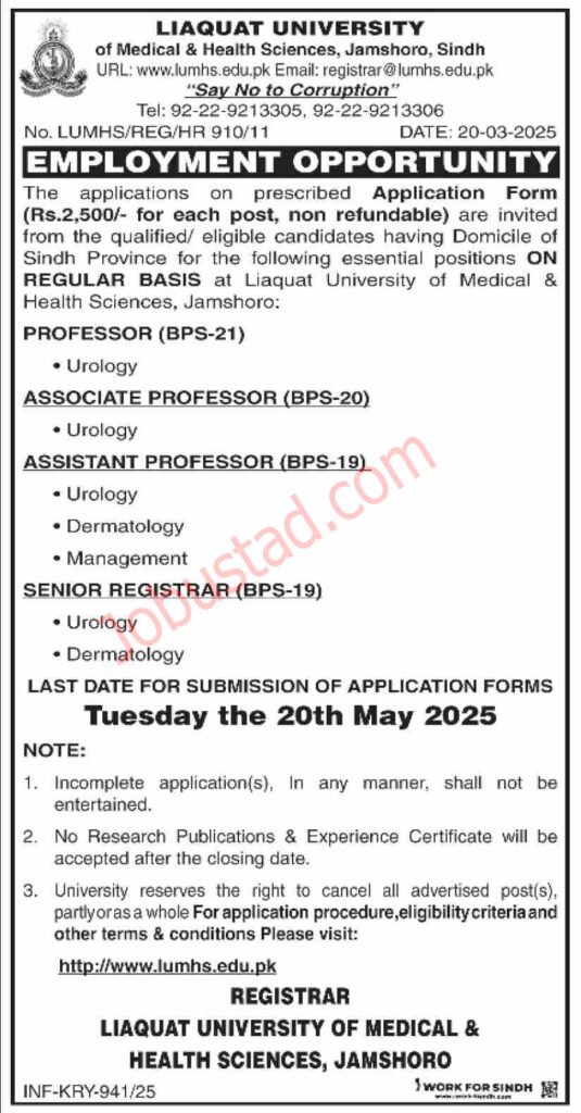 Liaquat University Jobs in Jamshoro April 2025