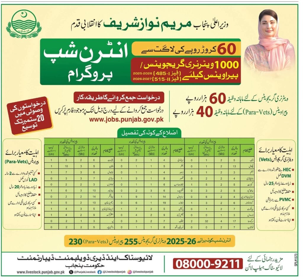 CM Punjab 1000 Internships for Male and Female Students in Punjab September 2025