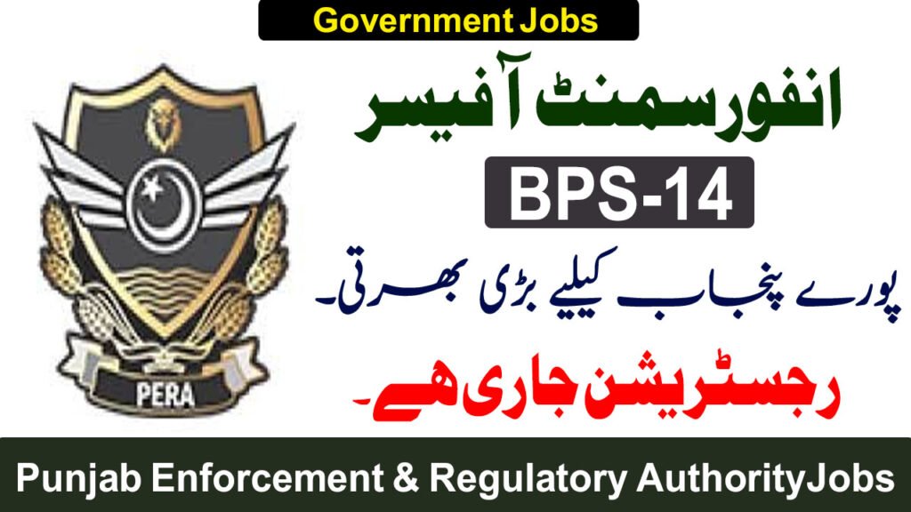 Enforcement Officer BS -24 Jobs in Punjab September 2025