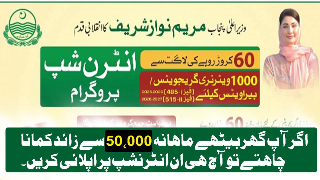 CM Punjab 1000 Internships for Male and Female Students in Punjab September 2025