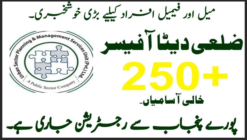 District Data Officer Vacancies In Punjab December 2025