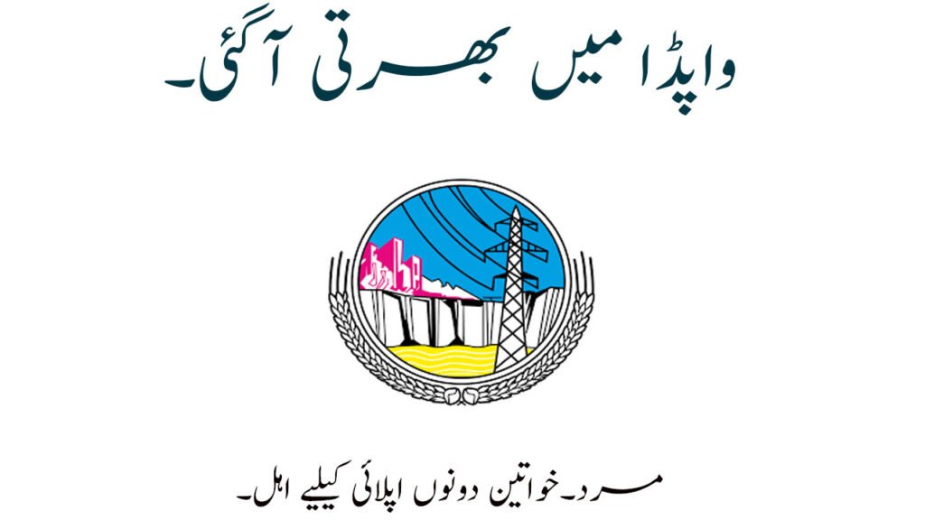 Hazara Electric Supply Company Limited HAZECO Vacancies 2025