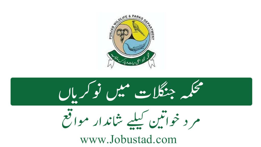 Govt of Punjab Forestry & Wildlife Department Vacancy Announcement January 2026