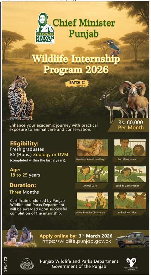 The CM Punjab Wildlife Internships Program 2026 Registration Open under the leadership of Maryam Nawaz, Chief Minister Punjab, has been officially announced by the Punjab Wildlife and Parks Department, Government of the Punjab. This fully paid Batch II Wildlife Internship Program 2026 is a unique opportunity for fresh graduates to gain hands-on, practical exposure in animal care, zoo management, and wildlife conservation. Designed to bridge the gap between academics and real-world practice, the program offers a generous monthly stipend, professional field training, and a government-endorsed certificate upon successful completion.