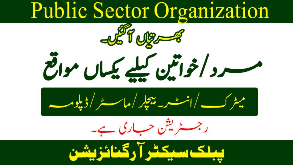 Public Sector Organization Jobs in Punjab February 2026