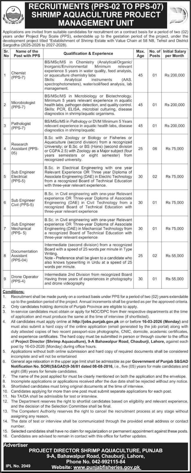 Latest Public Sector Organization Jobs in Punjab March 2026 