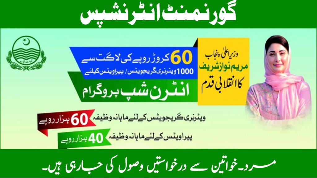 Earn 60000 Monthly Through CM Punjab Internships Program 2026
