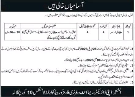 Military Veterinary Hospital Abbottabad Jobs April 2026