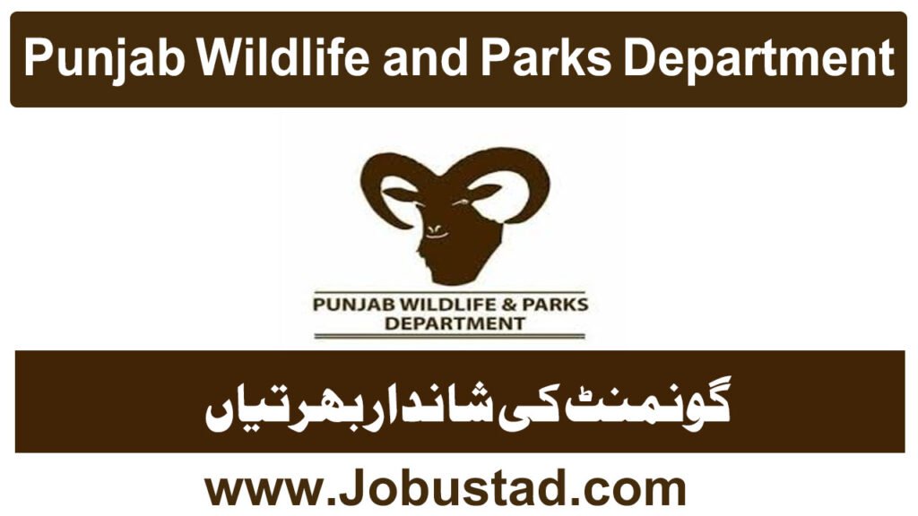 Punjab Wildlife and Parks Department Jobs in Punjab May 2026