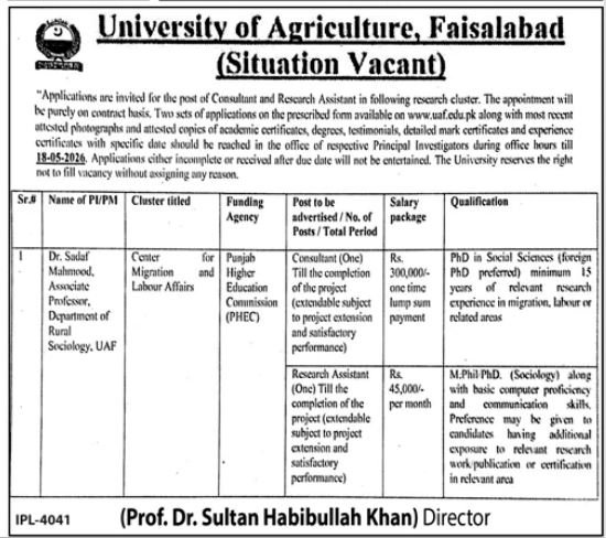 University of Agriculture Jobs in Faisalabad May 2026