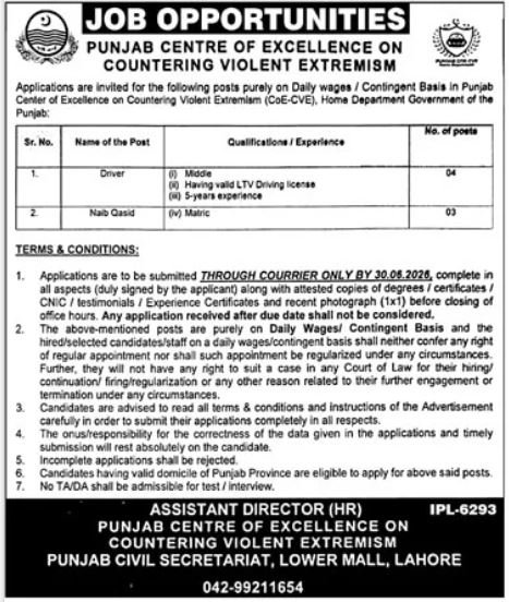 Punjab Centre Of Excellence jobs in Lahore June 2026