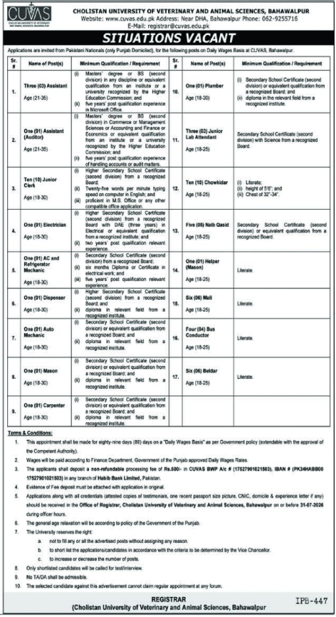 Cholistan University Of Veterinary And Animal Sciences Jobs in Bahawalpur 2026