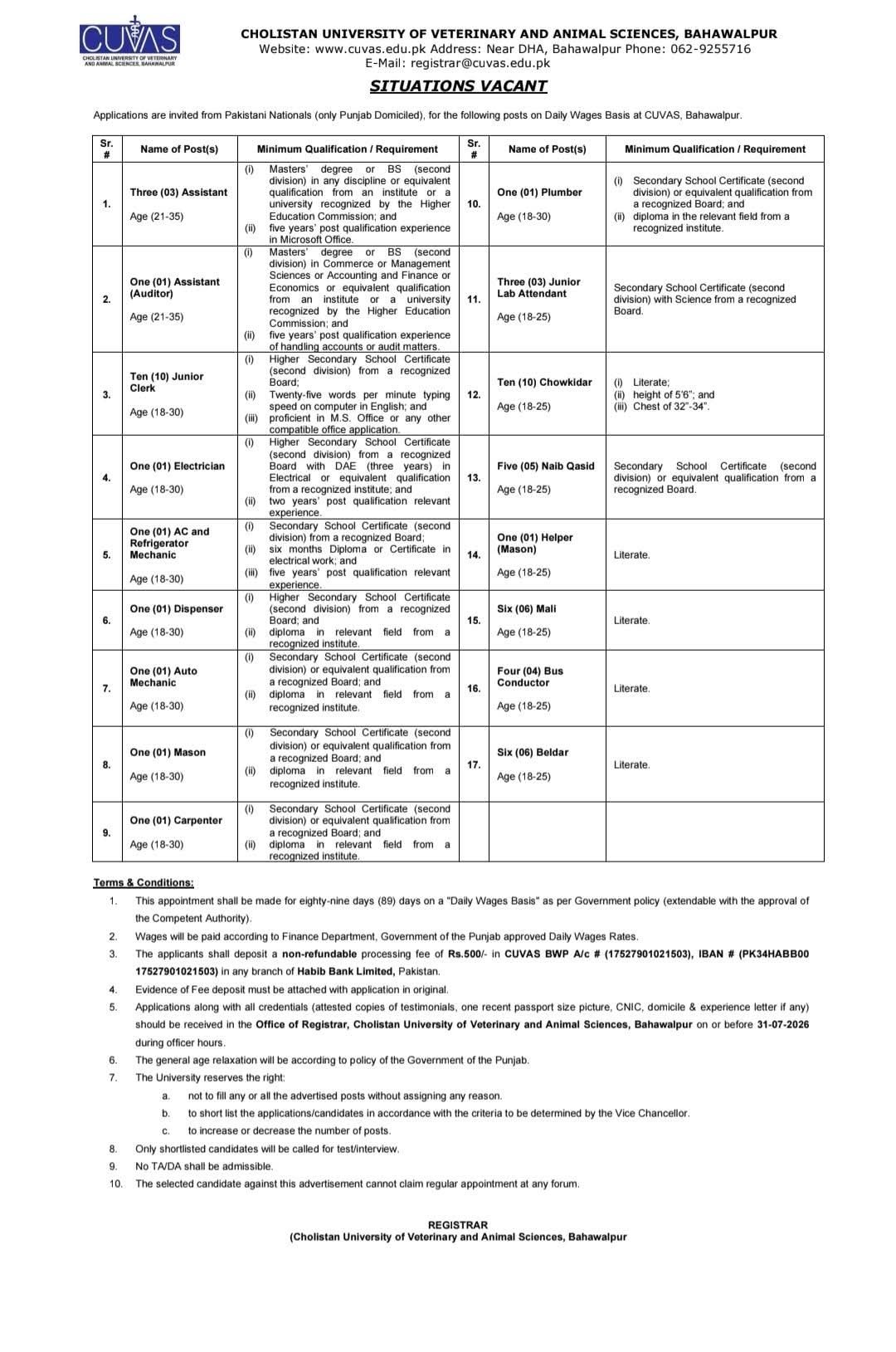 Cholistan University Of Veterinary And Animal Sciences Jobs in Bahawalpur July 2026