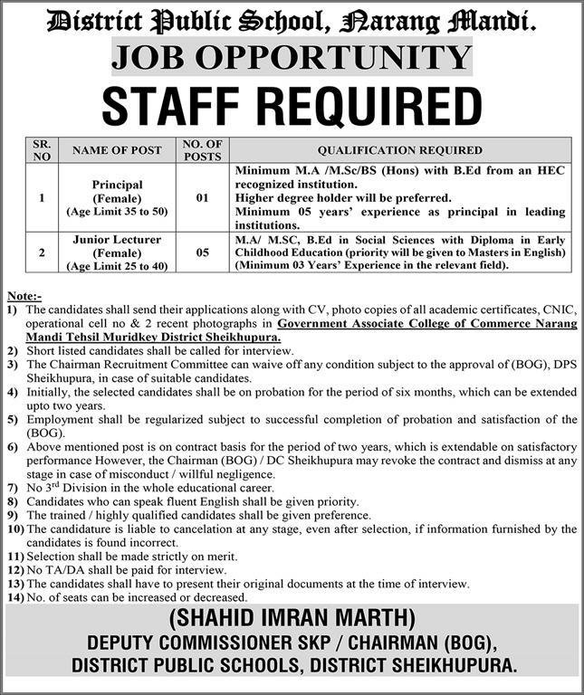 District Public School DPS Narang Mandi Jobs 2026